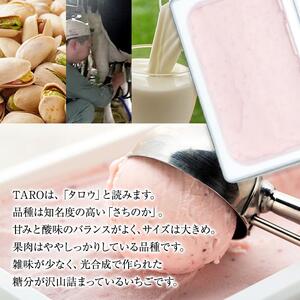 【訳あり】いちごミルク ジェラート 1.25リットル【TAROいちごミルク 大容量 アイス 業務用 スイーツ 人気 デザート 冷凍 氷菓子 1.25L 家族 ファミリーサイズ 苺】