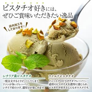 【数量限定】ジェラート 500ml×2種 食べ比べ シチリア産 ピスタチオ 豆乳ピスタチオ【大容量 アイス 業務用 セット スイーツ 人気 デザート 冷凍 氷菓子 合計 1リットル 家族 ファミリーサイズ イタリア】