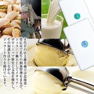 【数量限定】ジェラート 500ml×2種 食べ比べ  シチリア産 ピスタチオ 朝搾りミルク【大容量 アイス 業務用 セット 合計 1リットル スイーツ 人気 デザート 冷凍 氷菓子 家族 ファミリーサイズ】