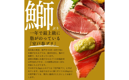 高知県産 鰹と天然ブリ 藁焼きたたき 食べ比べセット 約1.2kg (各約600g) 〈2026年3月下旬〜発送〉【池澤鮮魚オンラインショップ】[ATBE013]