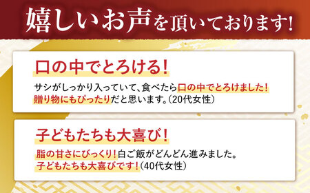 【6回定期便】サーロイン ステーキ 400g（200g×2枚） / サーロインステーキ 牛肉 定期便 長崎和牛 A5 希少部位 A5 / 諫早市 / 野中精肉店 [AHCW028]