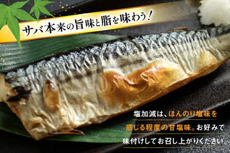 訳あり 減塩 無添加 塩サバ フィレ Mサイズ 総重量 3kg (15-21枚入) [足利本店 宮城県 気仙沼市 20565687]