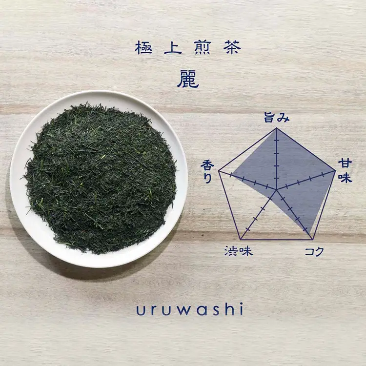 【八女茶】原田茶園 極上煎茶ティーバッグ 麗至 56g 2袋（4g×7）×2 八女 極上 煎茶 福岡 ティーバッグ お茶