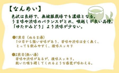 【 R8年産 】種子島 射場貴大 茶園 「さえみどり」 「あさつゆ」 「なんめい」 「やぶきた」 茶ツウ が 喜ぶ 単品 味わい セット　NFN573【300pt】// 日本茶 緑茶 希少品種 お茶 新茶 一番茶 煎茶 