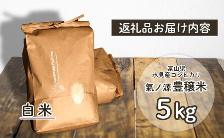 お米自慢コンクール優秀賞！  令和7年産 富山県産コシヒカリ 白米 5kg  富山県 氷見市 こしひかり R7