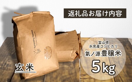 お米自慢コンクール優秀賞！  令和7年産 富山県産コシヒカリ 玄米 5kg  富山県 氷見市 こしひかり R7