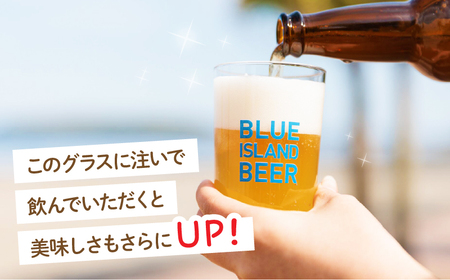 クラフトビール ビール 青島 サーフエール 6本・ビアグラス 1個 セット