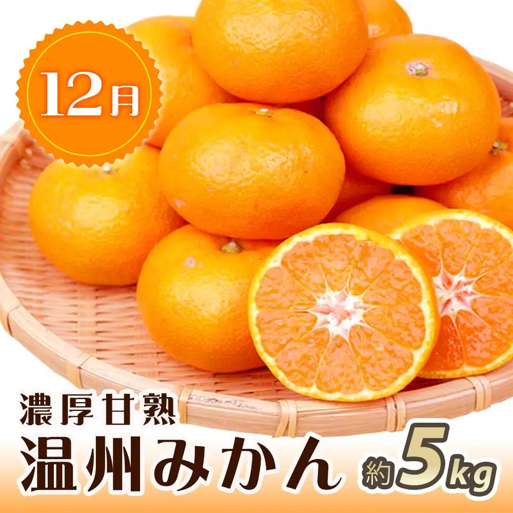 【2・7・12月 全3回】紀州和歌山産旬のフルーツセット（いちご・桃・有田みかん）定期便 【魚鶴商店】【UT70】
