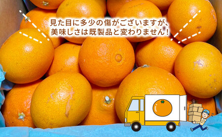 訳あり みかん 愛果28号 ハウス栽培 約3kg ハマみかん 【 訳あり みかん 】 B010-075009