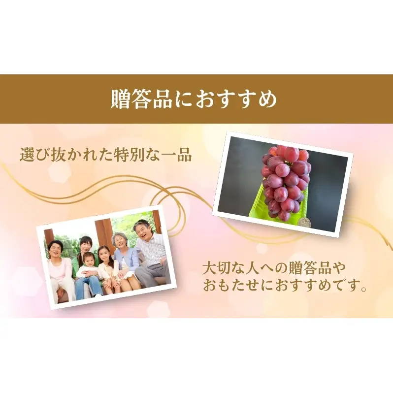 2026年産 ぶどう 長野 クイーンルージュ 約1.2kg 2〜3房 特選 大粒 種なし 皮ごと 産地直送 フルーツ 果物 デザート おやつ シャインマスカット 葡萄 秋 旬 旬の果物 旬のフルーツ 信州 信州産 長野県 2026 2026年