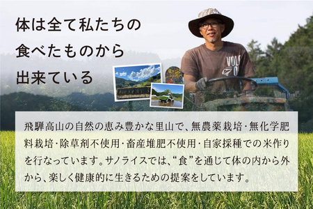 《先行予約》発芽玄米餅 24枚 / 餅 もち サノライス [Q1670]
