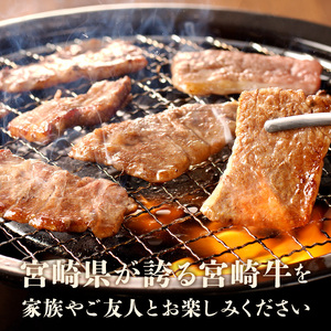 宮崎牛極み上焼肉セット 合計 300g　N0140-YB362