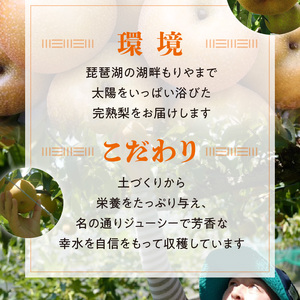 完熟採り　もりやま梨（幸水）2キロ～2.3キロ【先行予約】 CW-0007