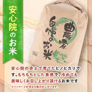 産地直送！宇佐のお米と季節の野菜詰合せ(お米5kg＋野菜詰め合わせ)米 お米 野菜 季節の野菜 詰合せ 安心院産 大分県産 勝負めし 【103700102】【小の岩の庄】