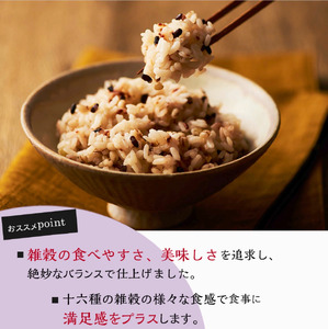 【国産100%】十六雑穀米 パックご飯 160g×48個 レンジで簡単 幸南食糧