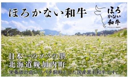 北海道 ほろかない和牛 サーロイン ステーキ 200g×2 計400g 黒毛 和牛 牛肉 肉 国産 ブランド牛 甘い サシ 贅沢 BBQ ギフト 贈答 お中元 お歳暮 お取り寄せ 市村ファーム 送料無料 