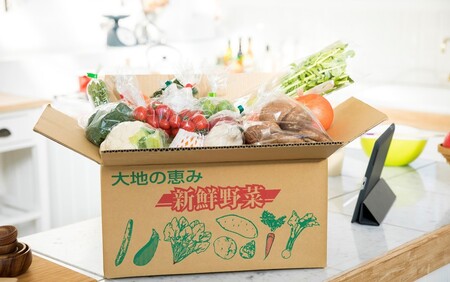 7月からお届け!おおいたの旬野菜定期便/計3回発送_2395R