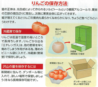 JA17 りんご サンふじ 訳あり 約10kg / 2026年11月下旬～12月上旬ごろ配送予定 // 長野県 南信州 訳あり 自宅用 さんふじ 新鮮 林檎 リンゴ サンフジ 家庭用 ふじ