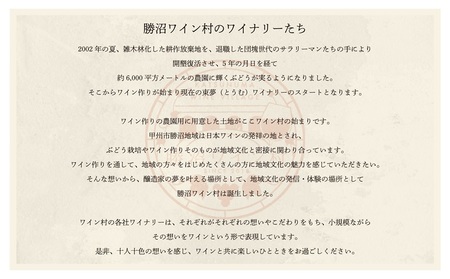 勝沼ワイン村 おまかせワイン（白）6本セット（KWV）F4-650