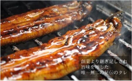 心に染みる「かけはし」の味 特大 うなぎの蒲焼き 1尾 鰻 