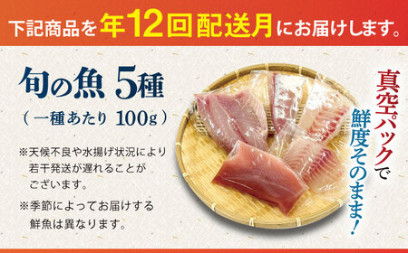 【12回定期便】【下処理済】超速冷凍鮮魚5種 五島市 / 金沢鮮魚[PEP021] 