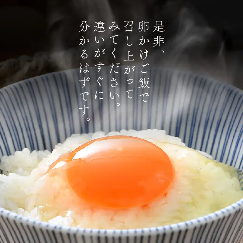 【3ヶ月連続お届け】 福井ブランド 「福地鶏」 の卵 30個 濃厚で甘くておいしい！  定期便 ／ 卵 たまご 鶏卵 生卵 有精卵 高級 高級卵 福地鶏 鶏 平飼い 美味しい こだわり 3ヶ月 定期便 卵かけご飯 料理 あわら市 福井県産 [aw036-b002]