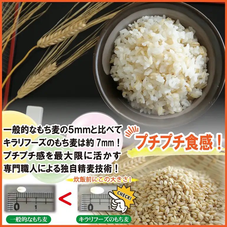 広島県安芸高田産 特選もち麦 キラリモチ 6.6kg + 国内産十六穀米 480g セット A26-009