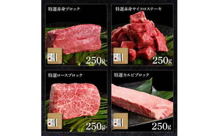 土佐和牛詰め合わせ6種 長期熟成肉 6種 詰め合わせ セット 田野屋銀象 完全天日塩付き 牛肉 肉 お肉 和牛 国産 牛 赤身 ヒレ カルビ ロース ブロック【株式会社LATERAL】 [BQAU063]