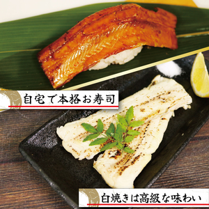 三陸産 天然 極 あなご蒲焼き 1枚・白焼き 1枚 冷凍 穴子 アナゴ 穴子 白焼 穴子 蒲焼 穴子 丼 寿司 さかな おさかな 魚 焼き魚 FISH ごはん 夕飯 おかず おつまみ 晩酌 海産物 海鮮 魚介 魚介類 大船渡 三陸 岩手県 国産