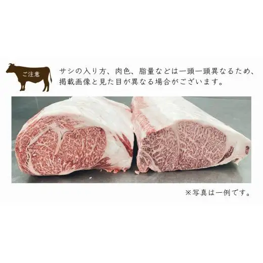 【スピード発送】常陸牛 A5 等級 サーロイン ブロック 9kg ( 茨城県共通返礼品 )