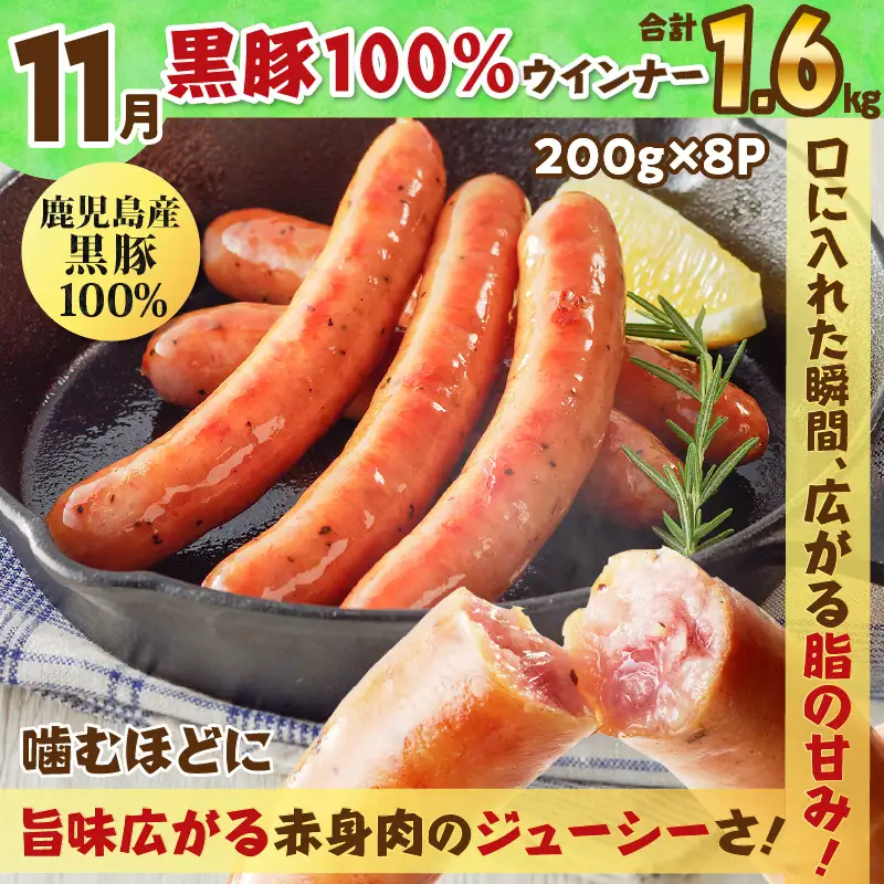 【 訳あり 】 【全3回】バラエティ 定期便 （3・7・11月 お届け ） K161-T05 肉 豚肉 冷凍