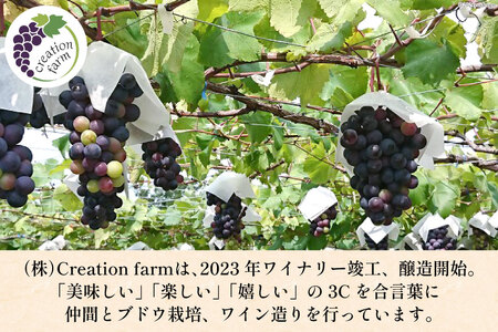 赤ワイン マスカット・ベーリーＡ 750ml  2本 ステンレスタンク ＆ オーク樽熟成  飲み比べ セット  [Creation farm 山梨県 韮崎市 20743676] 