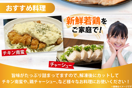 鶏肉 宮崎県産 若鶏むね肉 2kg 鶏肉 [452061357]