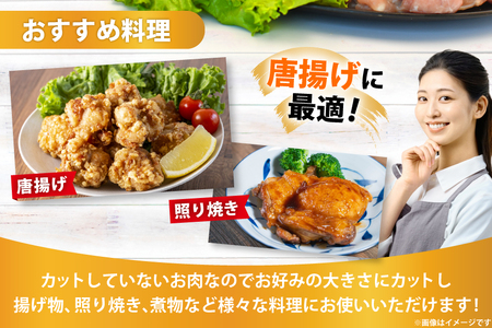 鶏肉 宮崎県産 若鶏もも肉 2kg 鶏肉 [452061358]