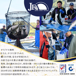 ぶりの王様「 鰤王 」 鰤 あら 中骨 (約2kg) 産地直送 旨味が抜群の 長島町 特産品 ブランド ぶり 鰤 ブリ アラ あら煮 あら汁 魚 魚介 人気 ランキング 【JFA】jfa-1275