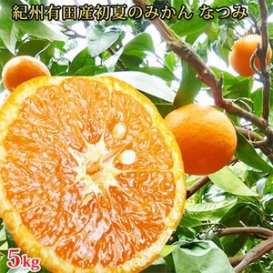 〈定期便〉【1・2・3・4月 全4回】紀州和歌山産旬の柑橘セット(みかん・ポンカン・清見・なつみ)　｜ﾌﾙｰﾂ ※北海道・沖縄・離島への配送不可