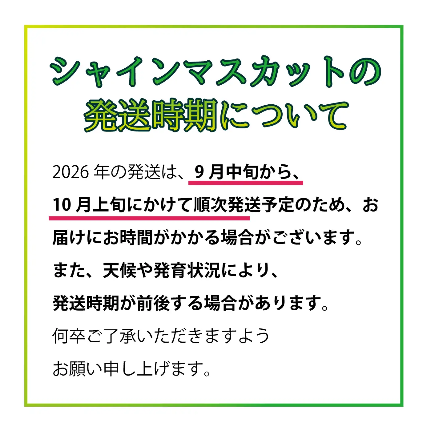 【先行予約】先行予約新鮮フルーツ シャインマスカット 1.2kg 果物 くだもの 化粧箱入り【9月中旬からお届け】