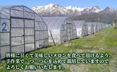 【先行受付  2026年発送】ふらのメロン 赤肉 大玉 ジャンボ 1玉入 (2kg～2.5kg) 北海道 富良野 メロン 夏 果物 フルーツ ギフト 長沢農園