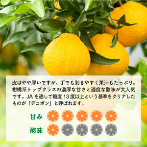 U6300_【2027年先行予約】デコポン 秀品 18玉～24玉 和歌山県有田産