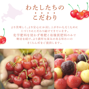 【 先行受付 】さくらんぼ サミット 1kg 500g×2パック 農林水産大臣賞 受賞 サクランボ チェリー 果物 果物類 フルーツ デザート 大粒 肉質 希少 北海道 芦別市