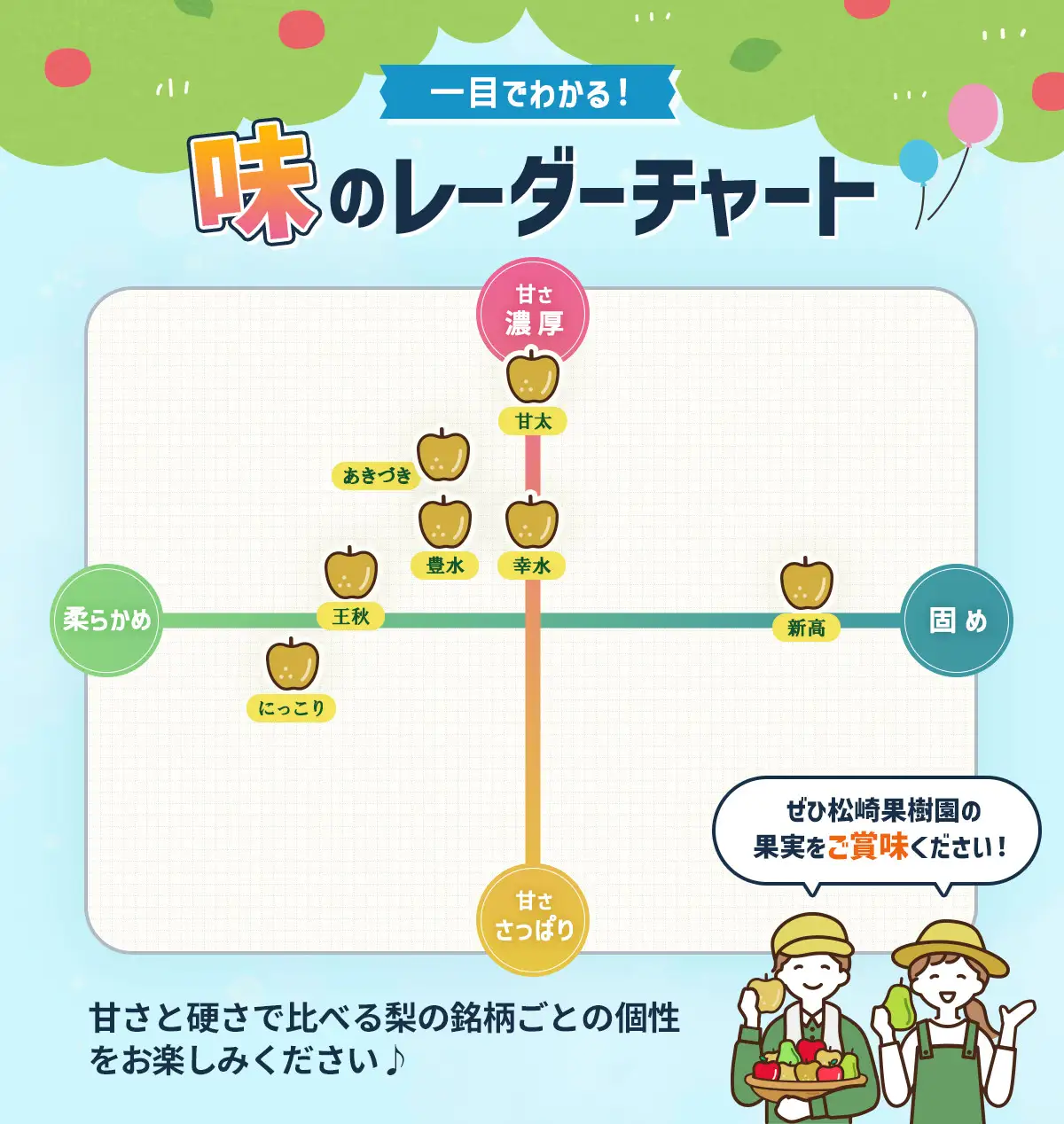 【2026年発送／先行予約】梨「幸水」約4kg（8～10玉入）【松崎果樹園】