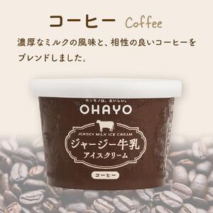 オハヨー乳業 ジャージー牛乳 アイスクリーム 120ml×10個（ミルク・コーヒー）ギフト  | アイスクリーム アイス アイス