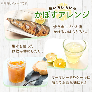 ＜先行予約受付中！2026年8月上旬以降順次発送予定＞かぼす(5kg)柑橘 かんきつ 大分県産直【112600100】【ａｎｄＫ】