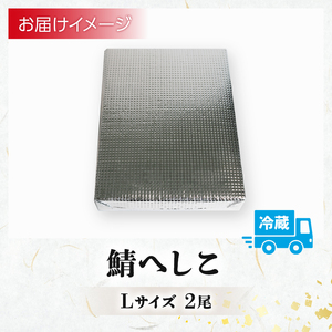 鯖のへしこ ( Lサイズ×2尾 ) 脂の乗ったノルウェー産鯖 【 漬け 肉厚 山川商店 鯖 若狭名産 海鮮 魚介 発酵 ぬか漬け おつまみ つまみ 酒の肴 日本海の アンチョビ パスタ 保存食 さば 京都 舞鶴 】