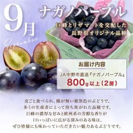 【発送月固定定期便】JA中野市　糖度13度保証の桃2.1kg以上とナガノパープル800g以上全2回【配送不可地域：離島・北海道・沖縄県】【4051564】