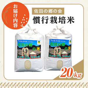 ＜令和7年産＞佐田の郷の米 慣行栽培米(20kg)お米 白米 ごはん ヒノヒカリ ひのひかり ブランド米 常温 常温保存【111700304】【雅設置プロジェクト　佐田の郷の会】