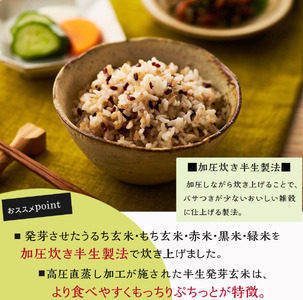 【国産100%】パックご飯 発芽玄米 160g×24個 もっちり パックごはん 幸南食糧