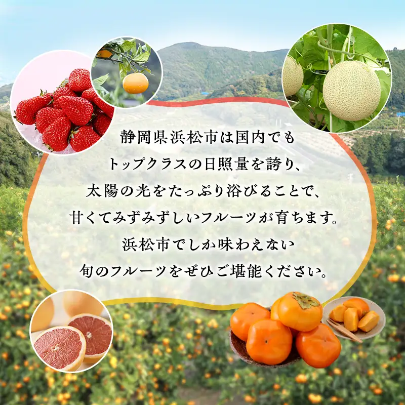【2027年1月中旬より順次発送】 フルーツセット 紅ほっぺ 1パック 三ヶ日みかん 1.5kg セット 詰め合わせ 青島みかん みかん いちご 苺 果物 旬のフルーツ 旬の果物 静岡 静岡県 浜松市 【配送不可：離島】