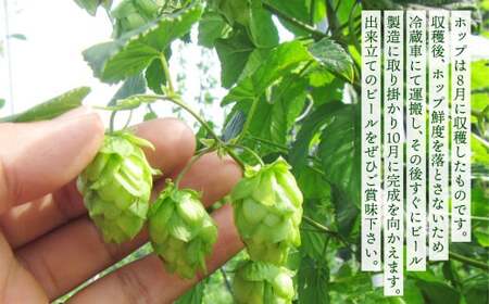 【数量限定】竹田市産ホップ「IBUKI」100%使用ビール 「GOLDEN ALE」 330ml × 3本セット クラフトビール 地ビール【2026年8月下旬まで順次発送予定】