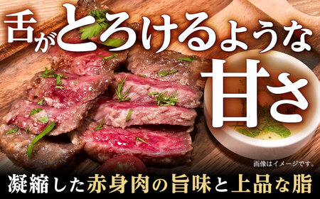 【6回定期便】リブロース ステーキ 300g (150g×2枚) / リブロースステーキ 長崎和牛 A5ランク / 諫早市 / 野中精肉店 [AHCW038]
